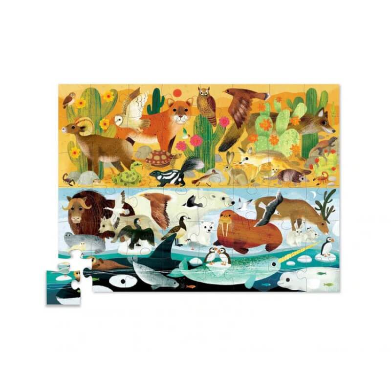 BER-3876052_b-800x800